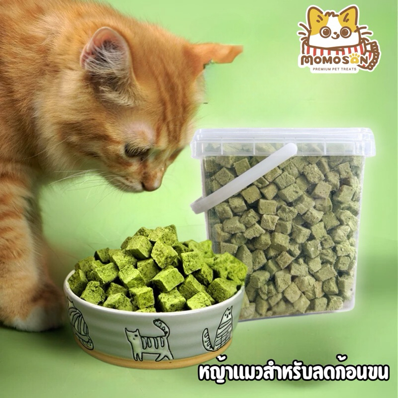 อกไก่ผสมหญ้าแมวฟรีซดราย Freeze dried Cat Treats เสริมวิตามิน ลดก้อนขน ต้นอ่อนข้าวสาลี ขนมแมว