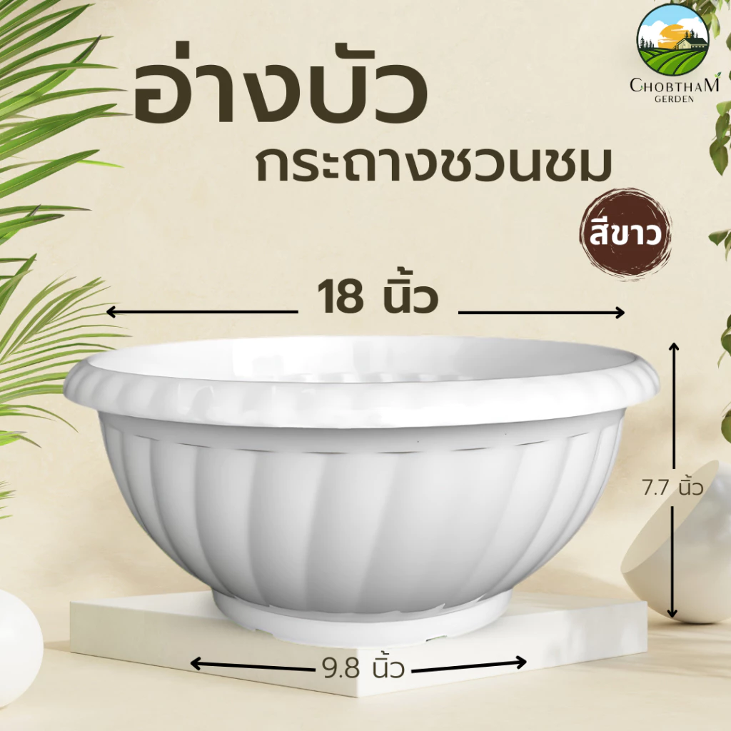 อ่างบัวเลี้ยงปลา กระถางชวนชม ขนาด 18 นิ้ว