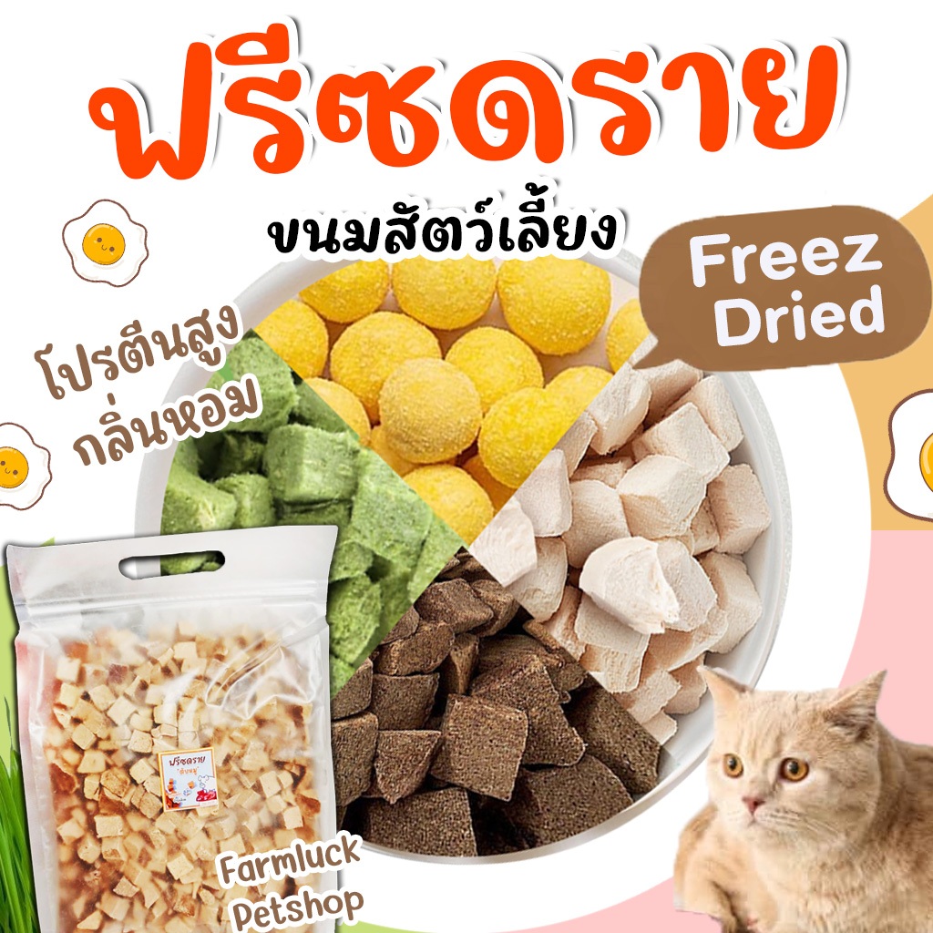 (ถูกมาก) ขนมฟรีซดราย ทำจากเนื้อสัตว์แท้ 100% ขนมแมวฟรีซดราย ดีต่อสุขภาพ ขนมแมวไม่เค็ม 0% Trans Fat