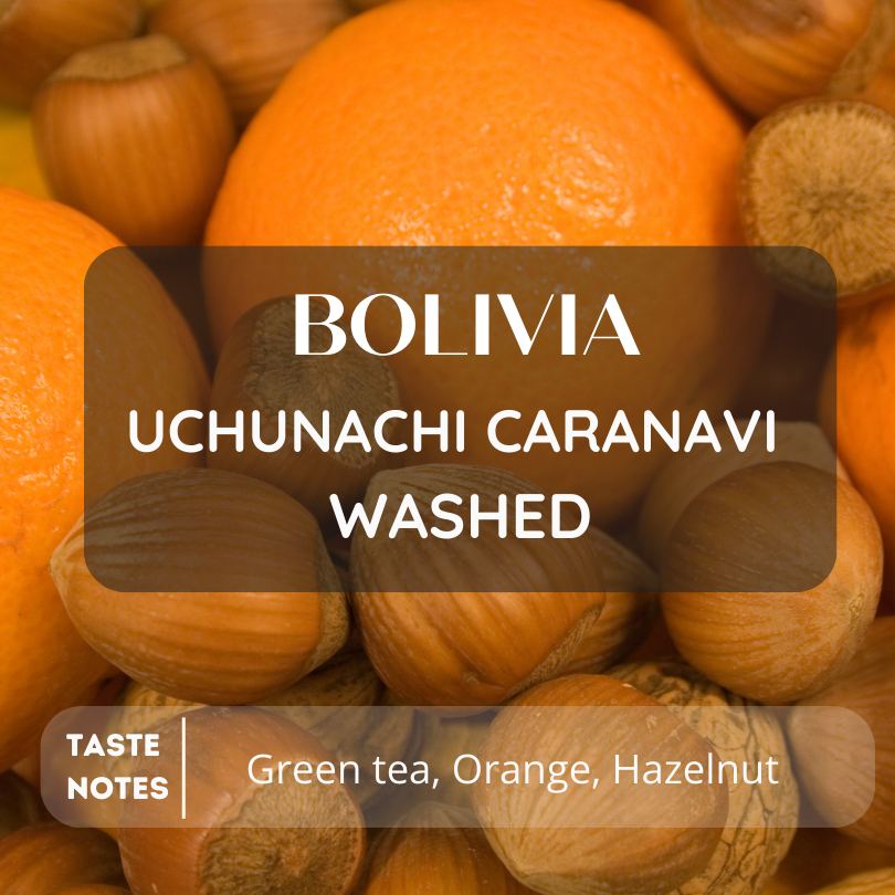 สารเมล็ดกาแฟ Bolivia uchunachi Caranavi washed 2025