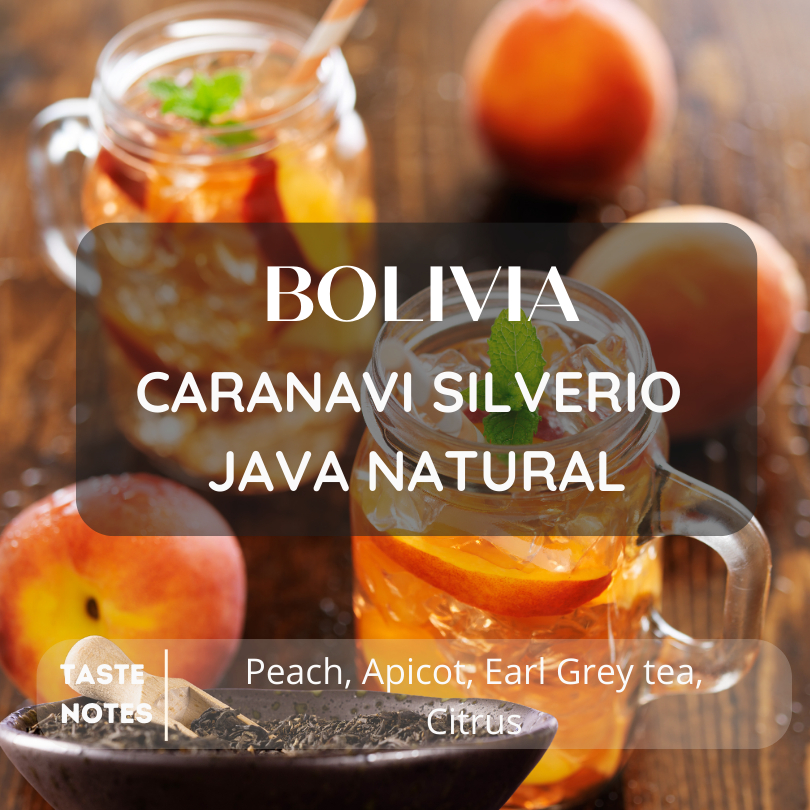 New in Sep!สารเมล็ดกาแฟ Bolivia Caranavi Silverio Java Natural 2025