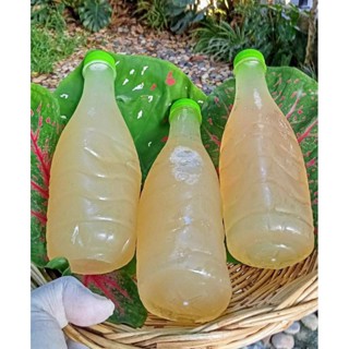 น้ำส้มโตนด100%(น้ำส้มสายชูธรรมชาติ)ประโยชน์เยอะ