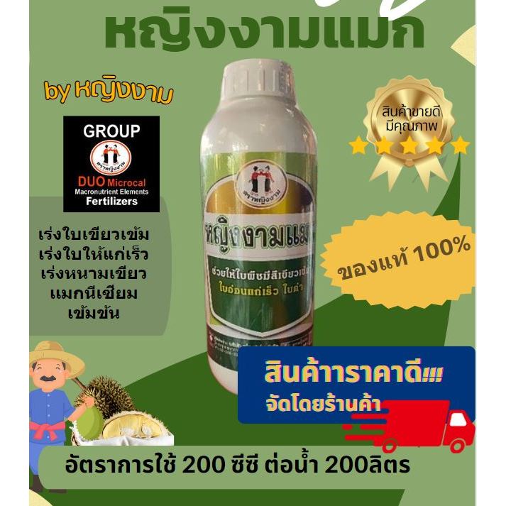 หญิงงามแมก [หญิงงาม100%] ทุเรียน ใบเขียวเข้ม ทำให้ใบอ่อนแก่เร็ว ใบดำ แมกนีเซียมละลายน้ำความเข้มข้นสูง