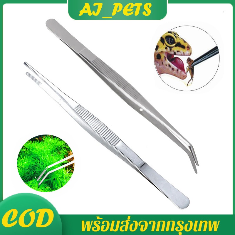 ฟอร์เซป forceps แหนบสแตนเลส ปากคีบ ใช้ คีบ หนีบ เช่น สำลี อาหาร ต้นไม้ ให้อาหารสัตว์ขนาดเล็ก