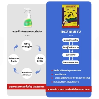 ผงตะขาบ ผงแมลง ผงโรยรอบบริเวณบ้าน ขนาด 100 กรัม เหมาะสำหรับครอบครัว ปลอดภัย