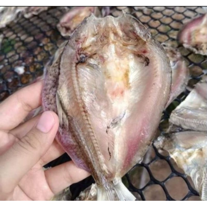 ปลาแห้งปรุงรส สูตรไม่เค็ม ปลาแห้ง ปลาขาวแห้ง 20 ตัว ปลาแหล่งธรรมชาติ ปลาขาว เขื่อนอุบลรัตน์ อาหาร อร่อย แซ่บ กรอบ นัว