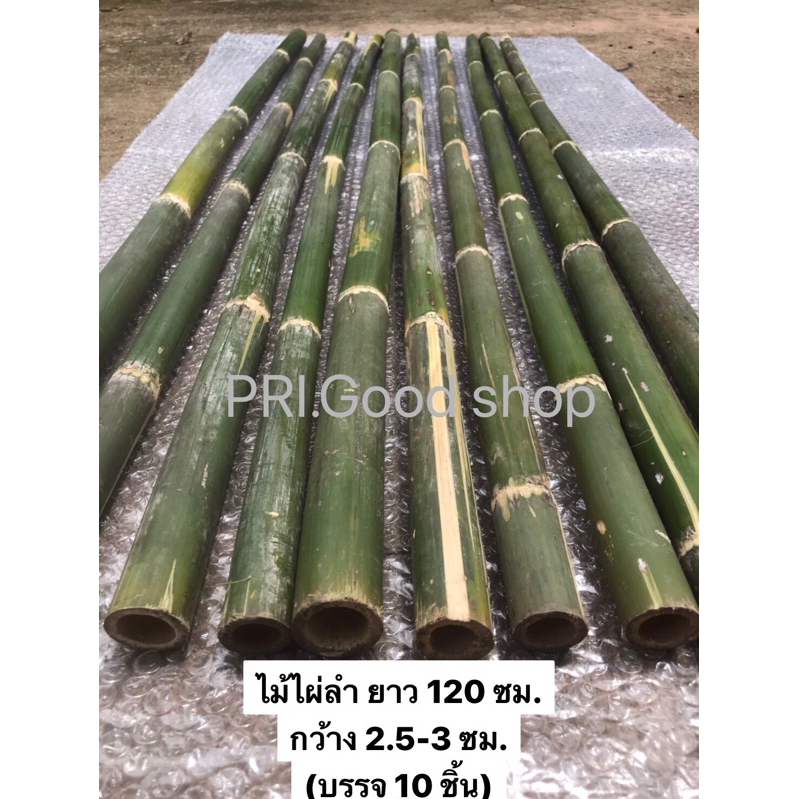 ไม้ไผ่ลำด้ามยาว 110 เซนติเมตร กว้าง 1.5-2.5 เซนติเมตร (บรรจุ 10 ชิ้น)