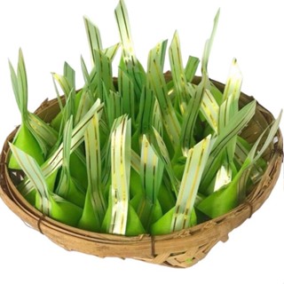 กระดาษสาห่อเหรียญ ขนมใส่ไส้สีเขียวตอง#04 (1 ชุด ทำได้ 40 เหร…