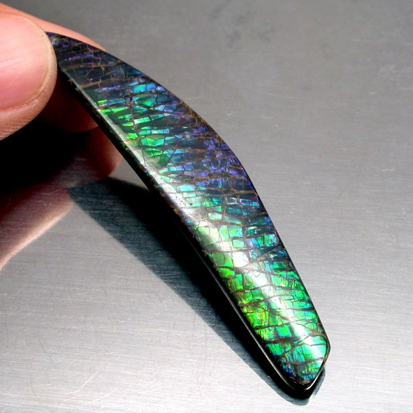 Ammolite แอมโมไลต์ (Ammolite) อัญมณีโลกล้านปีสุดหายาก อัญมณีนำโชค อัญมณีสะสม