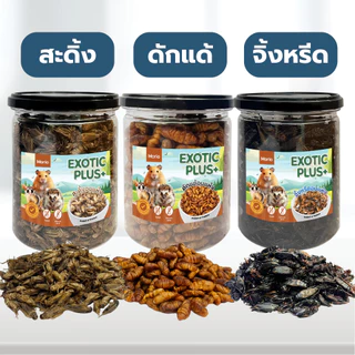 Morio แมลงอบแห้ง 480ml (ดักแด้ จิ้งหรีด สะดิ้ง) โปรตีนสูง สำหรับแฮมเตอร์ ชูการ์ไกลเดอร์ เม่นแคระ นก ปลา กระรอก ลิง