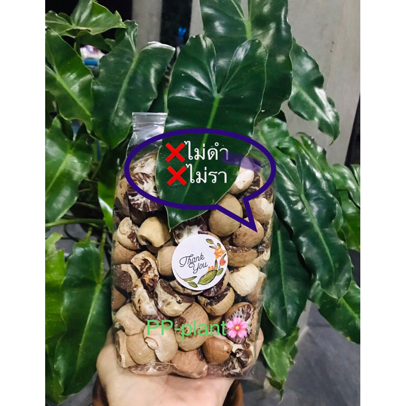 หมากแห้ง หมากพม่า หมากผ่าซีก หน้าสวยไม่ดำไม่รา ขนาด500g