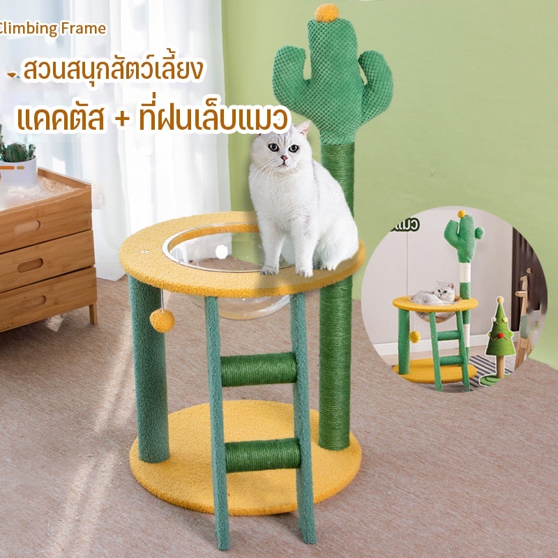 🐱พร้อมส่ง🐱 เสาลับเล็บกระบองเพชร ลับเล็บแมว คอนโดแมว เสาลับเล็บแมวได้ ของเล่นแมว