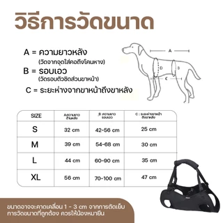 Doglemi ที่พยุงตัวสุนัข ช่วยยกทั้งตัว ฝึกกายภาพบำบัด ช่วยพยุงตัว ลดแรงกระแทกที่ข้อเข่า ข้อสะโพก