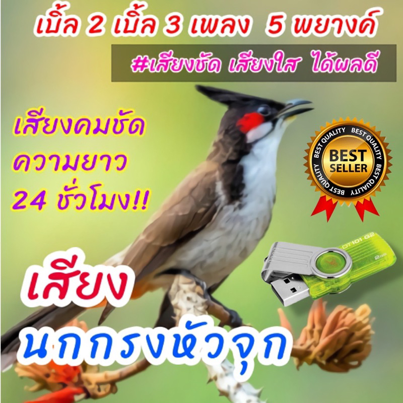 เสียงนกกรงหัวจุกเบิ้ล2 เบิ้ล3 เพลง 5 พยางค์ ชัด100% 027