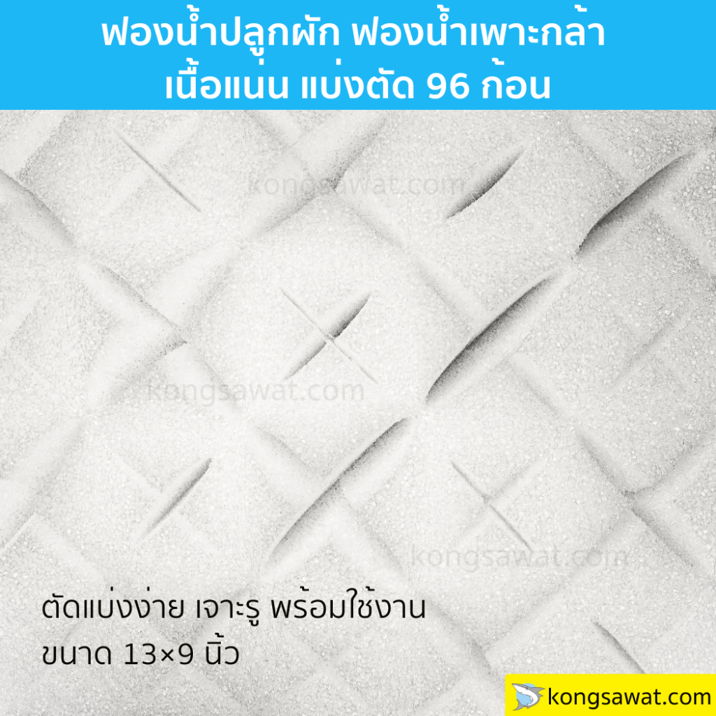 * 1 แผ่น - ฟองน้ำปลูกผัก ฟองน้ำเพาะกล้า เนื้อแน่น แบ่งตัด 96 ช่อง เจาะรู