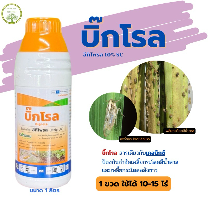 อีทิโพรล-บิ๊กโรล ขนาด 1 ลิตร กำจัดแมลงศัตรูพืช เพลี้ยกระโดหลังขาว เพลี้ยกระโดด แมลงหล่า