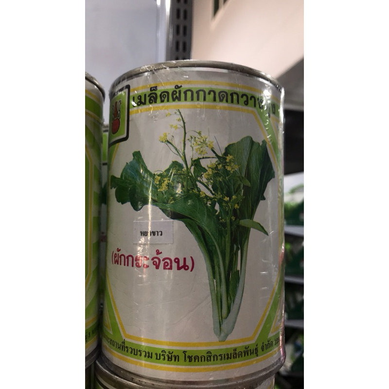 กวางตุ้งดอก หยกขาว 500กรัม น้ำเต้า