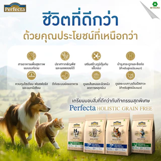 [ไซส์นี้คุ้มกว่า] Perfecta Holistic Grain Free อาหารแมว แมวโต ลูกแมว โฮลิสติก เกรนฟรี รส ไก่ ไก่งวง ปลา ขนาด 2.5 / 3kg