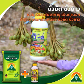 KT-1 เคที1 ,2,3 สารอาหารพืช(เขาเพชร)