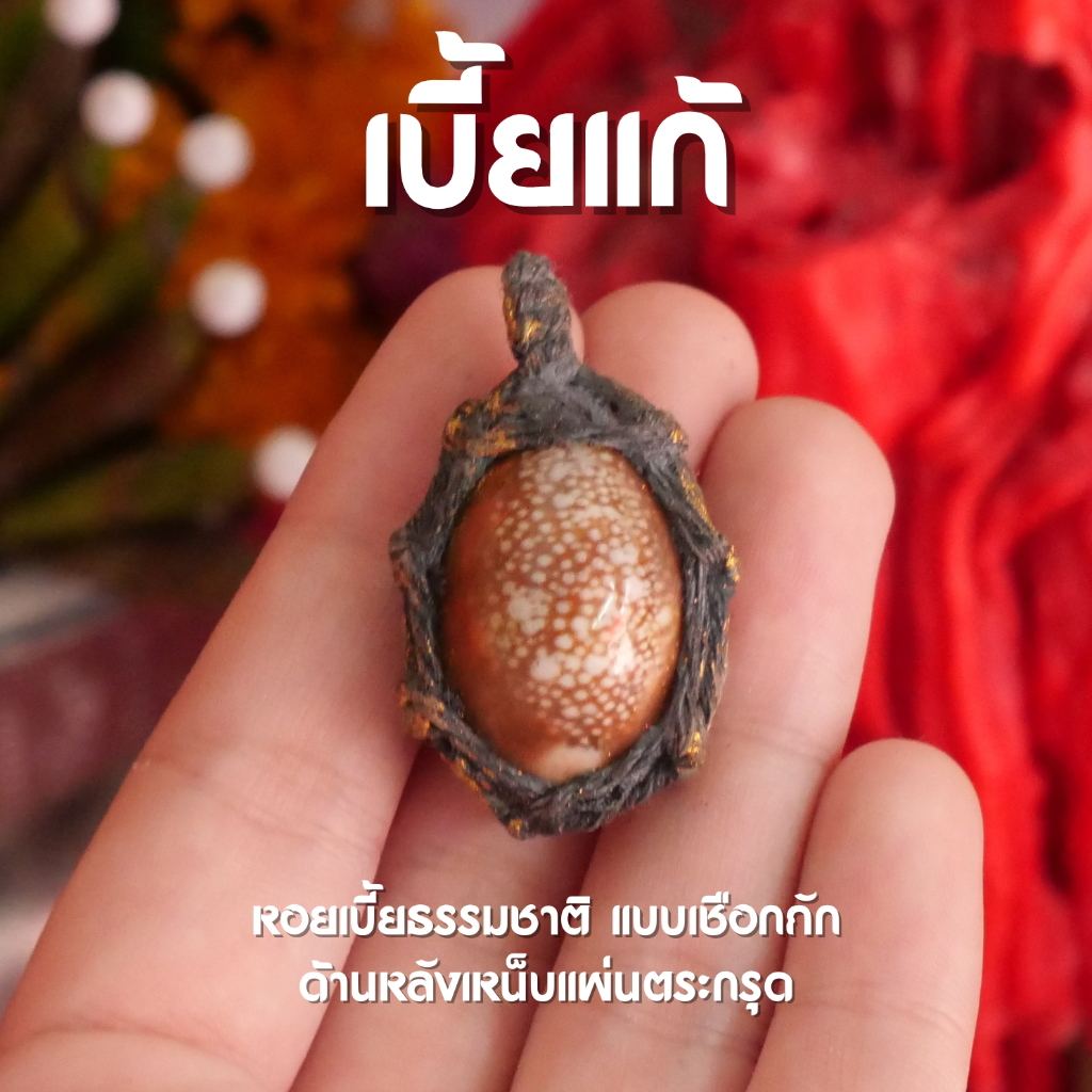 (JA1) หอยเบี้ยแก้ ธรรมชาติ เบี้ยแก้ เชือกถัก พร้อมส่ง