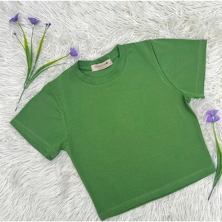 เสื้อยืดครอปคอกลม (เสื้อยืดครอป) Clothing