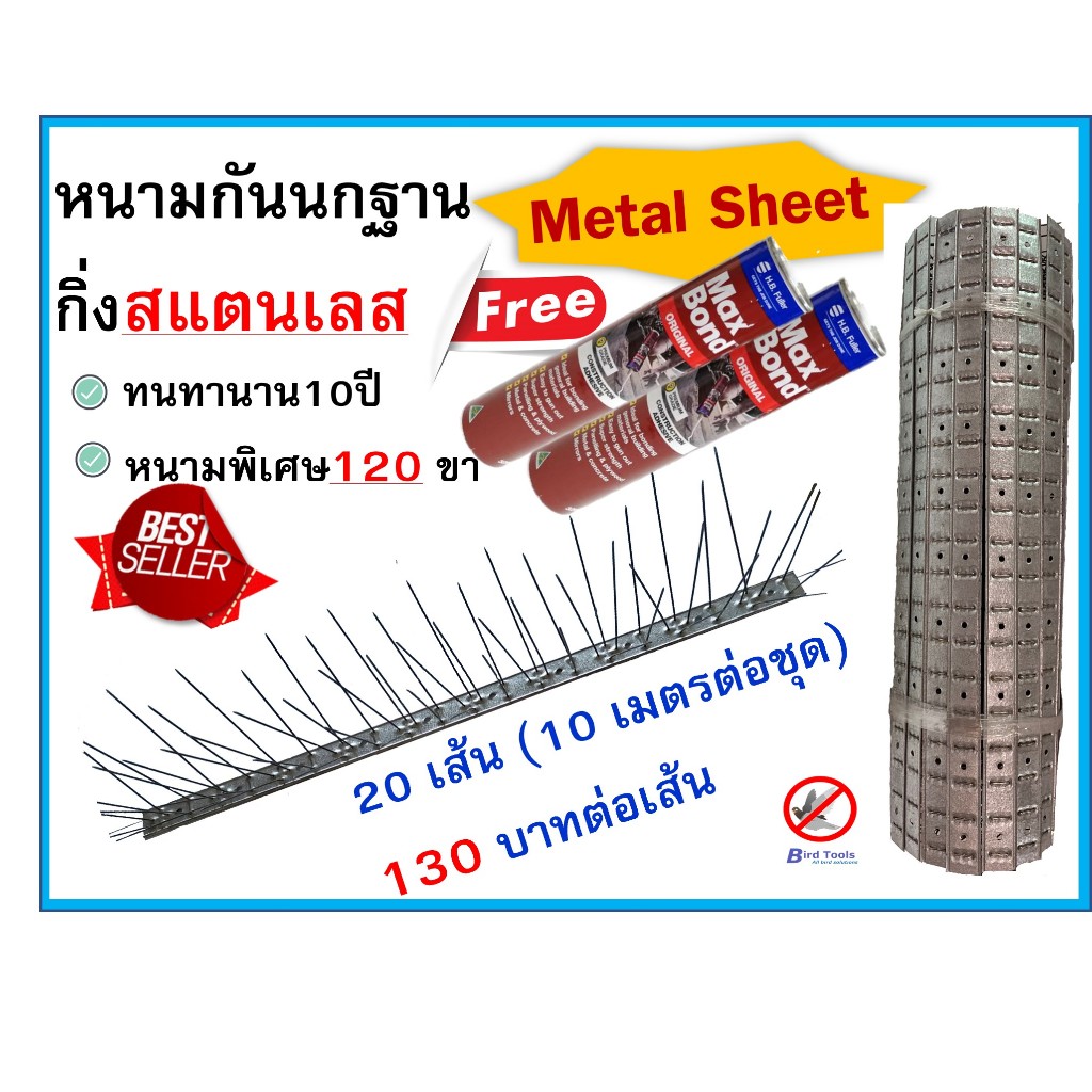 หนามกันนก กิ่งสแตนเลสปลายแหลมฐาน Metal Sheet จำนวนขาพิเศษ 120 ขา ปลายแหลม หนามเตย ปลายแหลม