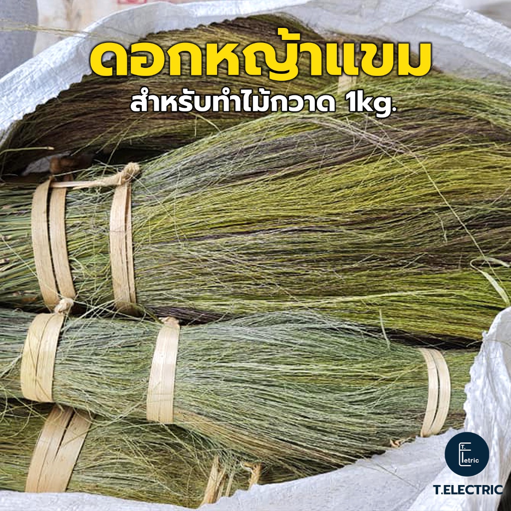 ดอกหญ้าแขม 900g. ดอกหญ้าทำไม้กวาด ดอกไม้กวาด ไม้กวาดดอกหญ้า อะไหล่ทำไม้กวาด