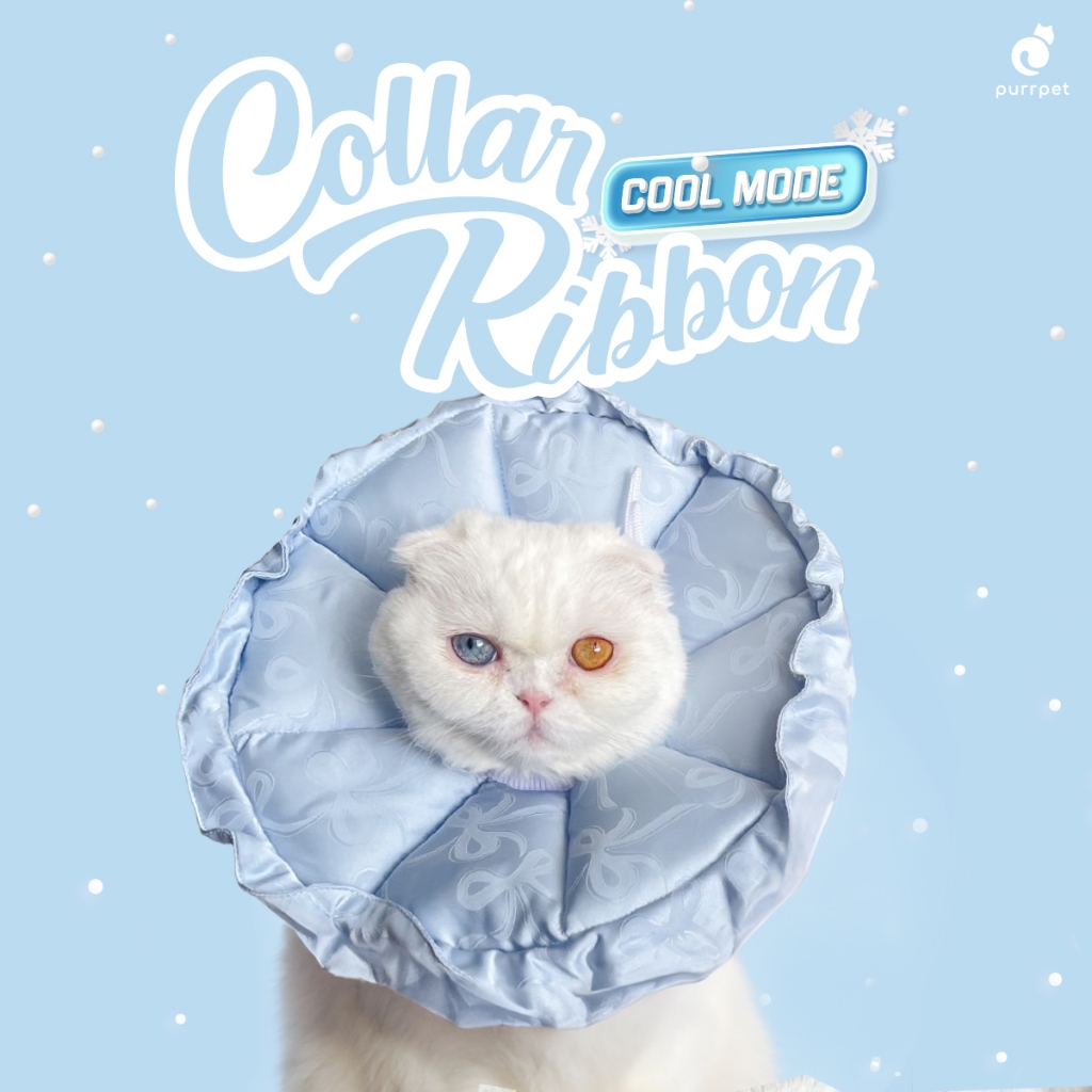 คอลล่า ผ้าเย็น - Purrpet