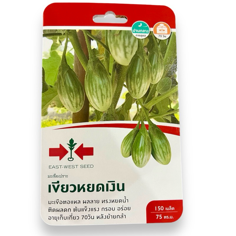 ศรแดง เมล็ด มะเขือไข่เต่า เขียวหยดเงิน (150 เมล็ด)