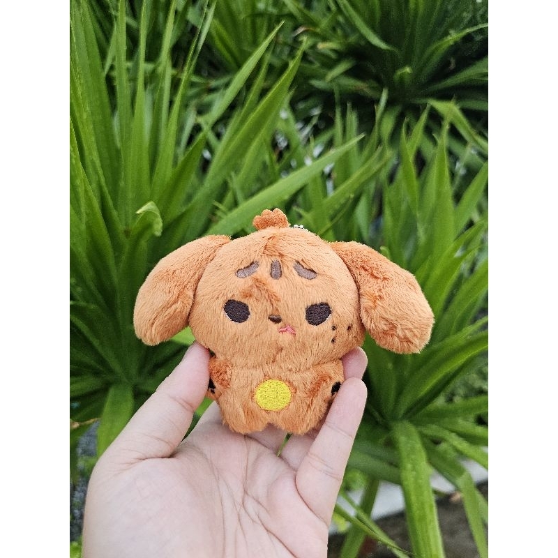 ((พร้อมส่ง)) ตุ๊กตา Mr.Podychan ตุ๊กตาคาแรคเตอร์แฮชานเด็กผมจุกหูพุดเดิ้ลจะมาขโมยหัวใจแม่ๆแย้ววว