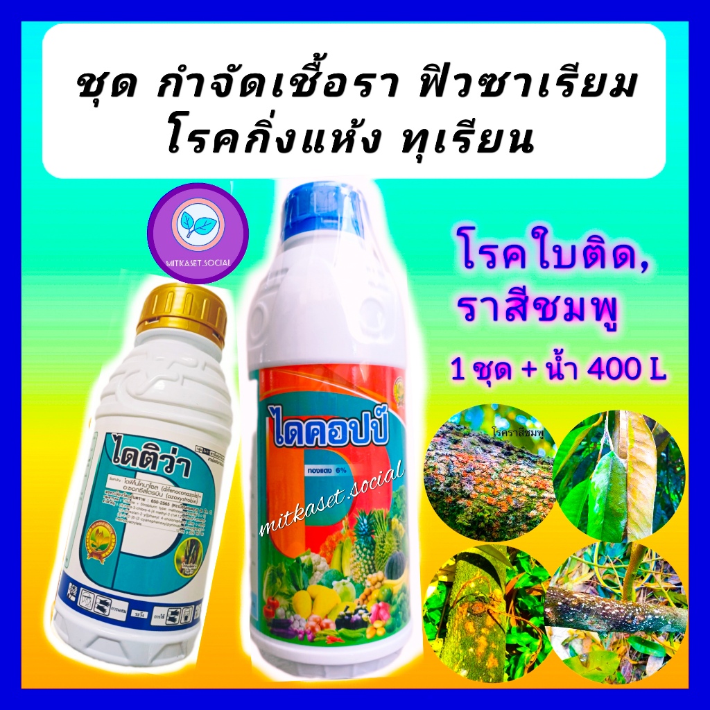 โรคทุเรียน ไดคอปป์ คอปเปอร์น้ำ1ลิตร+ไดติว่า500cc (ไดฟีโนโคนาโซล+อะซอกซีสโตบิน) กำจัดเชื้อราฟิวซาเรียมโซลาไน โรคกิ่งแห้ง