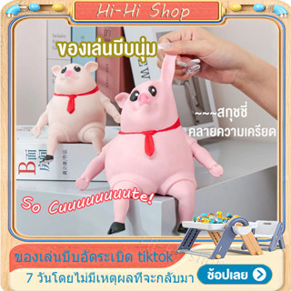 Squishy Piggy Squeeze เล่นของเล่นคลายเครียดบน TikTok ตัวการ์ตูนน่ารัก