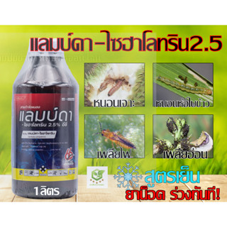แลมบ์ดา-ไซฮาโลทริน  1ลิตร กำจัดหนอน แมลง เพลี้ย  หนอนเจาะสมอฝ้าย ฆ่าหนอน แลมป์ดา แลมบ์ดาไซฮาโลทริน แลมด้า แลมดา