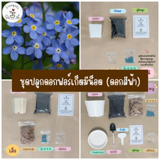 LXG : ชุดพร้อมปลูกฟอร์เก็ตมีน็อต For Get Me Not  (ดอกสีฟ้า)ชุดปลูกฟอร์เก็ตมีน็อต For Get Me Not  มี 3 ขนาด