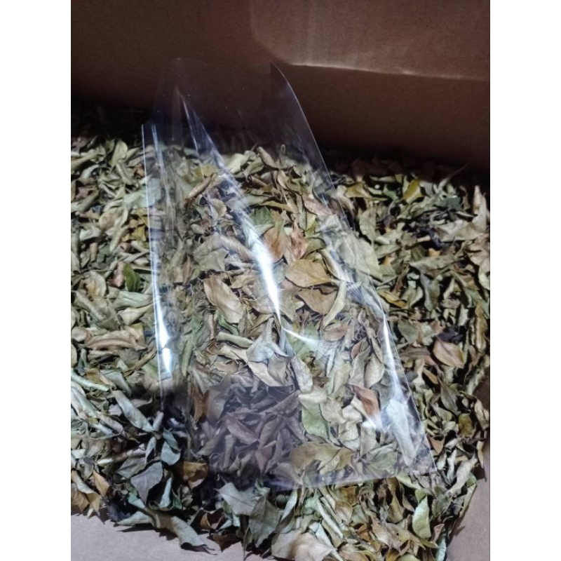 ใบกะหรี่🌿curry leaves🌿