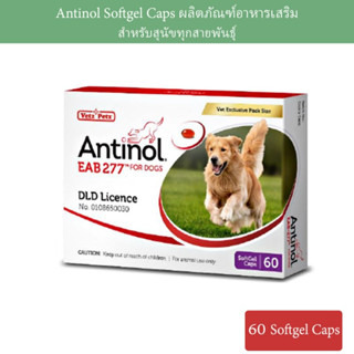 Antinol DOG ช่วยบำรุงข้อ กระดูก ขน ผิวหนัง และไต(1 กล่อง 60 caps) สำหรับสัตว์เลี้ยง EXP.03/2025