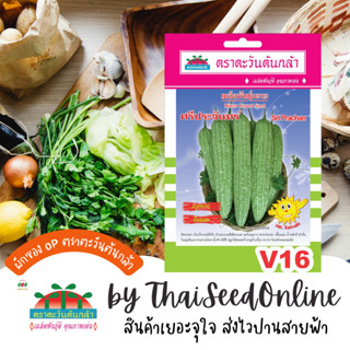 ADV ซฟ เมล็ดพันธุ์ มะระจีน ศรีประจันทร์ ตราตะวันต้นกล้า V16