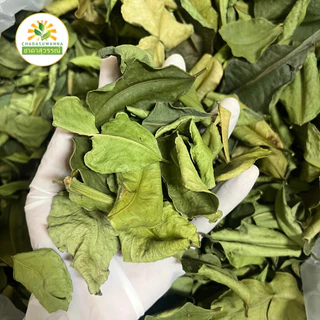 ใบมะกรูดอบแห้ง เกรดพรีเมี่ยม คุณภาพส่งออก Dried kaffir lime leaf ใบมะกรูด ชาดาสุวรรณ์ Chadasuwanna