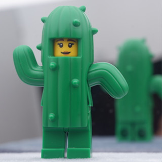 LEGO Cactus Girl Series 18 PloyBrick