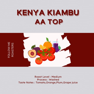 เมล็ดกาแฟ Kenya Kiambu AA Top-Washed