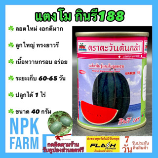 แตงโม กินรี 188 ขนาด 40 กรัม ตะวันต้นกล้า หมดอายุ 11/2567 งอกดี ลูกใหญ่ ทรงยาวรี น้ำหนัก 5-8 กิโลกรัม อายุ 60 วัน npk