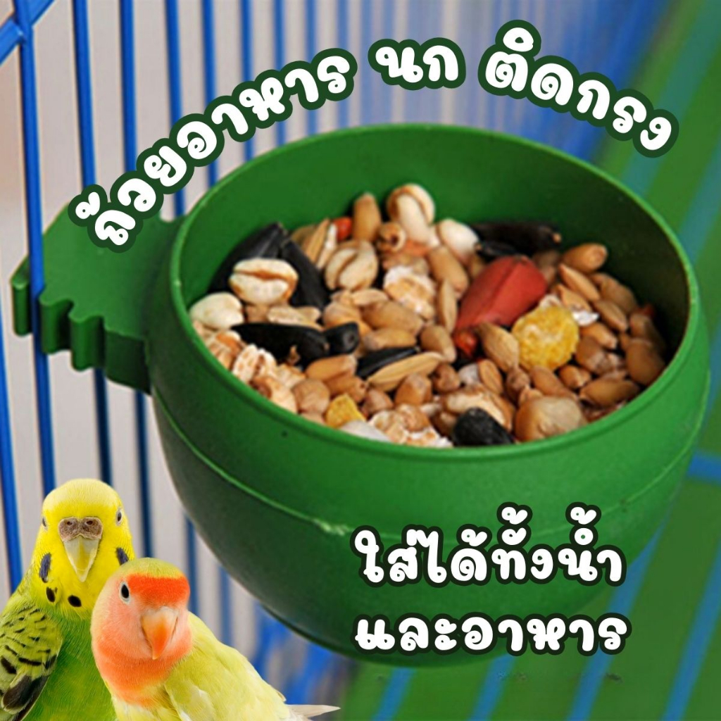 พร้อมส่ง จากไทย 🇹🇭 ถ้วยอาหาร ติดกรงนก ชามอาหาร ชามน้ำ นก ติดกรง