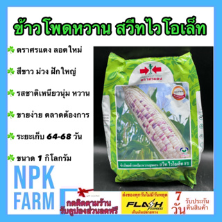 ข้าวโพดหวาน สวีทไวโอเล็ท ขนาด 1 กิโลกรัม หมดอายุ23/07/67 ลอตใหม่ ข้าวโพด ศรแดง ขาวม่วง เหนียว นุ่ม หวาน ขายง่าย npk