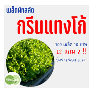 เมล็ดสลัด กรีนแทงโก้ 100 เมล็ด 10 บาท งอกดีมีคู่มือในการปลูก