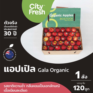 CityFresh (ยกลัง)แอปเปิล Gala Organic ออร์แกนิคแท้ 100% จากนิวซีแลนด์ ผลไม้นำเข้า