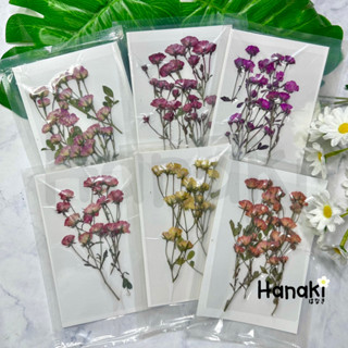 【พร้อมส่ง】ดอกกุหลาบแบบช่อทับแห้ง ดอกไม้จริงทับแห้ง ดอกไม้ทับแห้ง  Pressed Flowers💐