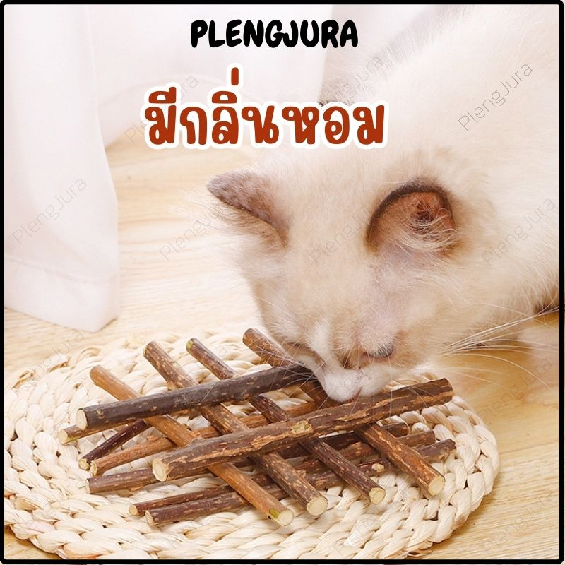 ก้านมาทาทาบิไม้แมวเมา แบบแท่ง มาทาทาบิ ขัดฟันมาทาบิ สำหรับแมว แคทนิปญี่ปุ่น ไม้แมวเมา ไม้ขัดฟัน ก้านมาทาทาบิ ไม้แปรงฟัน - รูปที่ 7
