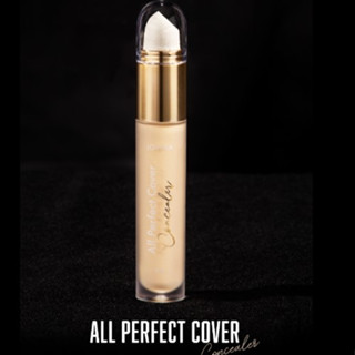 แบ่งขายคอนซีลเลอร์โจวีน่า JOVINA ALL PERFECT COVER CONCEALER