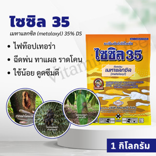 เมทาแลกซิล 35% 1 กก. ไซซิล 35 กำจัดเชื้อรา รากเน่า โคนเน่า ไฟทอป ละลายดี ไม่อุดตัน ทนต่อการชะล้าง