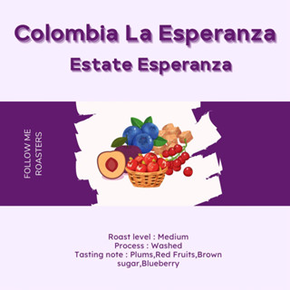 เมล็ดกาแฟ Colombia La Esperanza Estate Esperanza โทนฟรุ๊ตตี้